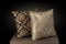 Two Cushion pillows hand embroidered silk threads print in Gold