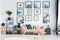 Two cushions and pink blanket placed on the couch standing in white living room interior with plants and books on black metal rack