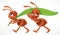 Two cute cartoon ant carry green juicy blade of grass