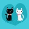 Two cute cartoon black and white cat couple with dotted and checked kerchiev sitting in heart, anime style isolated on