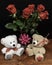 Two cute cuddly teddy bears with red roses in vase and pink bow on wooden table on dark background