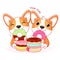 Two cute dogs with donuts. Kawaii corgi puppy are happy to eat donut