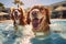 Two cute dogs enjoy playing in pet friendly hotel swimming pool on vacation. Generative AI
