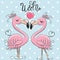 Two Cute Flamingos on a blue background