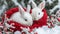 Two cute fluffy white bunnies in red knit blanket in snow. Valentine\\\'s day holiday concept