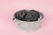Two cute grey guinea pigs sitting next to eachother in a pewter tin bath on a pink background