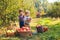 Two cute kids picking apples in a garden