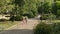 Two cute kids walking in the alley in summer Park.