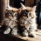 Two cute kittens look at the camera