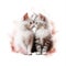 Two cute kittens sitting next to each other isolated on a white background