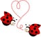 Two cute ladybirds in love