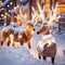 Two cute little deer are standing on the white snow decorated too beautiful lights twinkling lights in Christmas Day