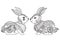 Two cute little rabbit line art design for coloring book, cards, t shirt design and so on