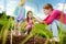 Two cute little sisters helping their mother to plant seedlings in a garden. Children taking part in outdoor household chores