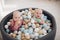 Two cute little toddler posing sitting in bucket with colorful balls having fun