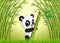 Two cute panda in a bamboo forest