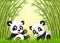 Two cute panda in a bamboo forest