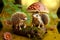 Two cute plasticine hedgehogs sit on log under mushroom