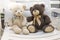 Two cute plush bears sitting on white seat and talking