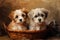 Two cute puppies in a basket on a brown background. Vector illustration