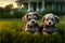 Two cute puppies on the lawn against the backdrop of a typical American house. AI generated.