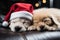 Two cute puppies sleeping in a Santa hat on the sofa, Christmas card, notebook cover