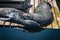 Two cute seals sleeping on each other on a wooden platform