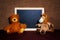 Two cute teddybears sitting next to chalkboard