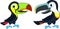 Two cute Vector cartoon rainbow-billed and channel-billed toucans