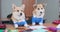 Two cute Welsh corgi Pembroke in school uniform are sitting at desk with backpacks and open notebooks. They were tired