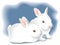 Two cute white baby rabbits. Illustration