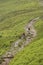 Two Cyclists On Countryside Track