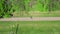 Two cyclists ride on an asphalt bike path in the park in the spring