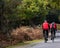 Two cyclists riding on a countryside road in the new forest hampshire