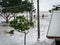 Two Cyclists by the sea during Brisbane floods