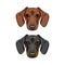 Two dachshunds. Black, brown dogs. Cute dog portrait. Dog breed. Dog faces, muzzles, heads. Vector.