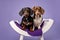 Two Dachshunds sitting on a curved bench
