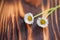 Two daisies on wooden table, seasonal flower background