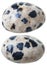 Two dalmatian jasper (Dalmatian stone) gemstones