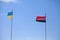 Two damaged flags by Ukraine and by Arms of Ukrainian Nationali