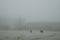 Two dark cows grazing on the hoarfrost covered pasture near the barn during the freezing foggy morning