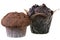 Two dark muffin decorated with chocolate chip Isolated