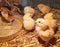Two-day-old, yellow, black Brahma chicken Chicks in a straw box