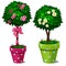 Two decorative bonsai tree with flowers