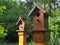 Two decorative wooden birdhouses on the background of park green plants. Closeup photo