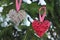 Two decorative wooden hearts on a snowy spruce branch. Selective focus. Symbol of love. Valentine`s Day concept