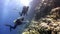 Two deepwater scuba divers swimming near coral reefs underwater in Red sea.