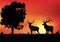 Two deers near tree at sunset