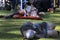 Two defeated knights in metal helmets fault on the ground, a costume performance at a local medieval fair