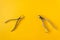 Two dental extraction forceps isolated on the yellow background. For removing the sick tooth and tooth root.